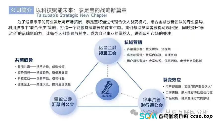 关于泰足宝股票跟单盘风控意见
