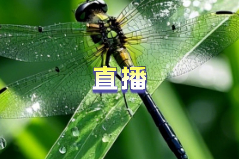 45岁女人能做什么兼职？不妨试试这些兼职