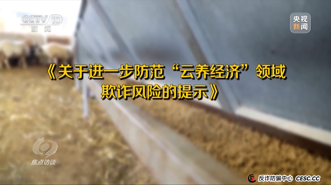 “云养殖”里藏骗局 “云养殖”里藏骗局