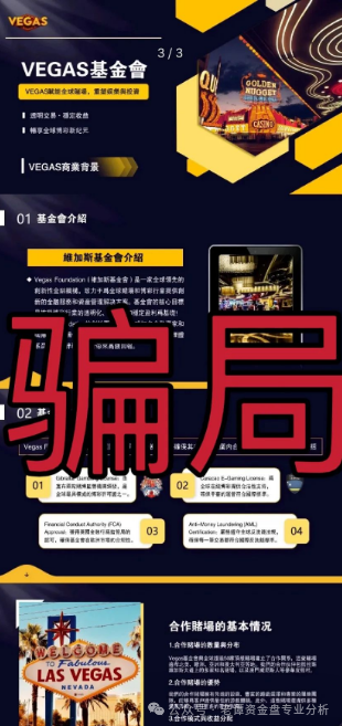 【曝光]维加斯基金会（VEGAS）高度预警，即将崩盘跑路！