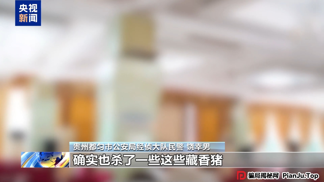 【金融普法】假养猪 真骗局 警惕披着“云养经济”外衣的非法集资