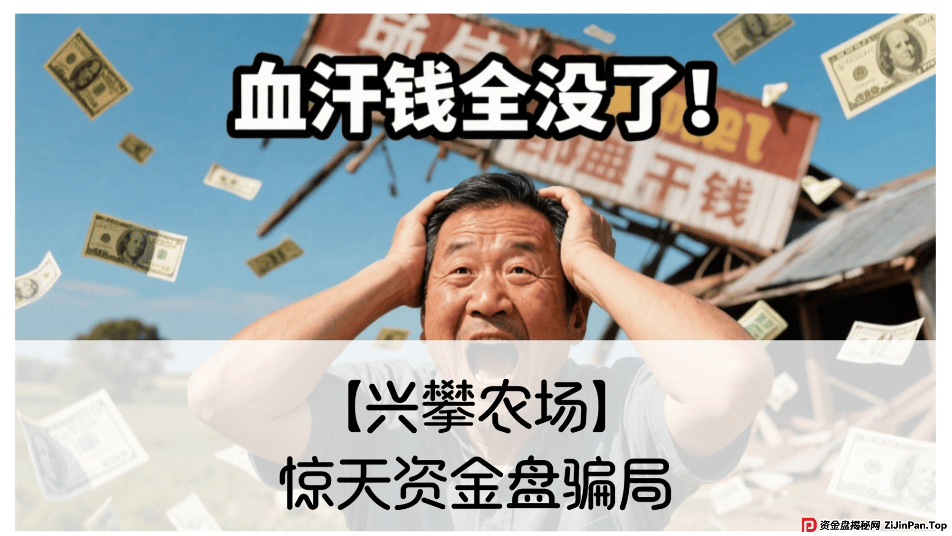 【兴攀农场】惊天骗局：震哥带你拆穿“数字助农”的画皮 