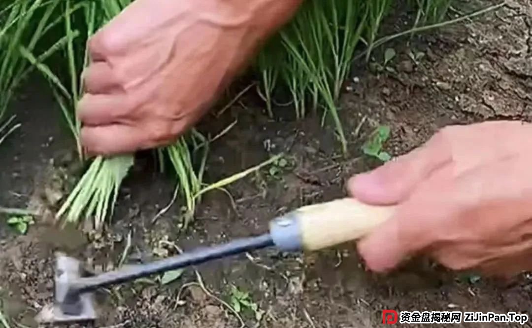 原田易购，表面是商城电商平台，实则是互助骗局警惕