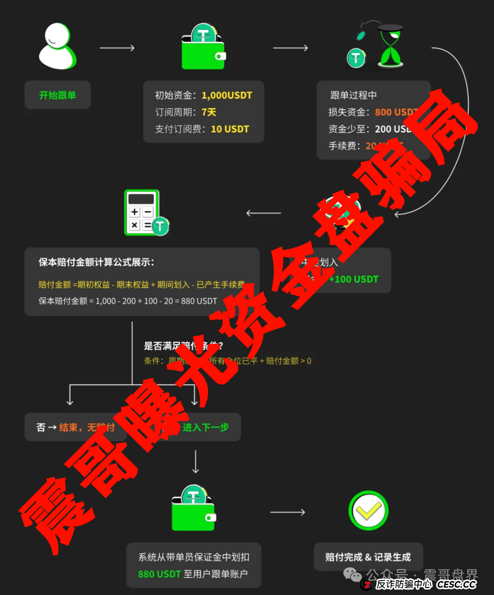 Websea跟单骗局大起底！震哥带你扒光它的套路