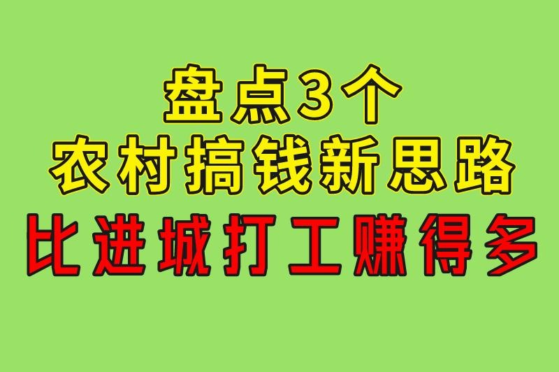 农村什么赚米最快？盘点3个农村搞钱新思路，比进城打工赚得多！