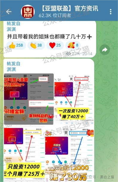 反诈防骗|树拍偏瘫,尚能饭否?“亚盟联盈”在柬埔寨已悄然撤退,参与者能熬过夏季吗? 反诈防骗|树拍偏瘫,尚能饭否?“亚盟联盈”在柬埔寨已悄然撤退,参与者能熬过夏季吗?