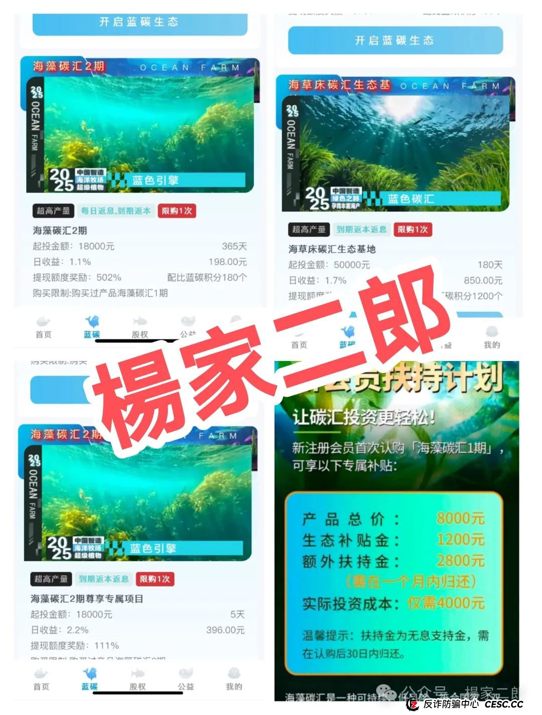 深度揭秘:“海洋牧场app”套用国家政策的理财资金盘骗局！