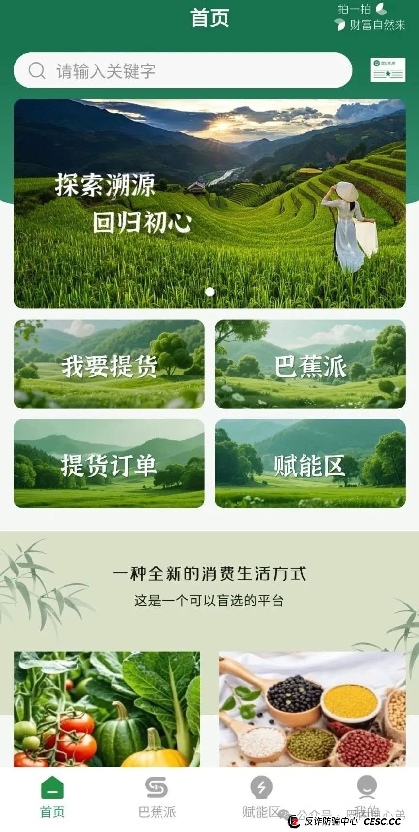 悠然境-巴蕉派小红蕉,互助竞拍骗局,多数投资者反应,提现不到账 悠然境-巴蕉派小红蕉,互助竞拍骗局,多数投资者反应,提现不到账