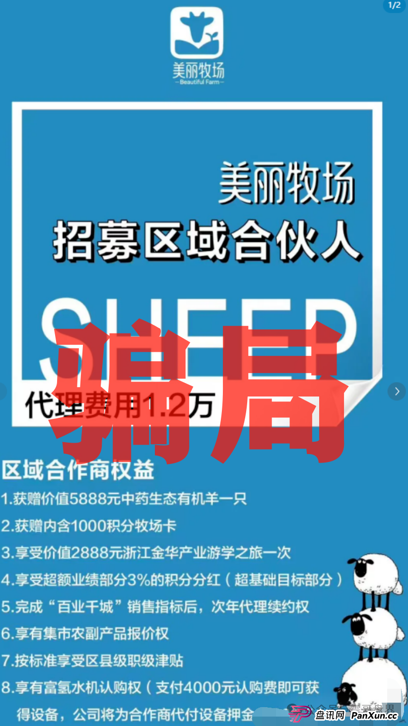 羊霸天美丽牧场:震哥带你扒一扒这个“云养羊”的坑! 羊霸天美丽牧场:震哥带你扒一扒这个“云养羊”的坑!