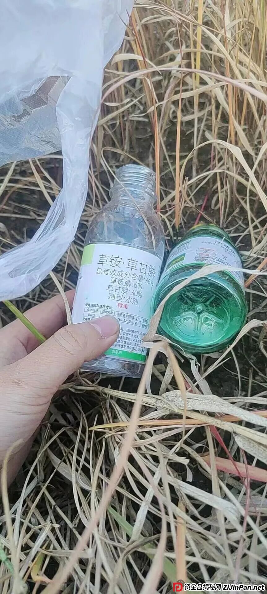 盘讯：荣裕合不给会员提现，绝望之下喝农药，现已经住进ICU