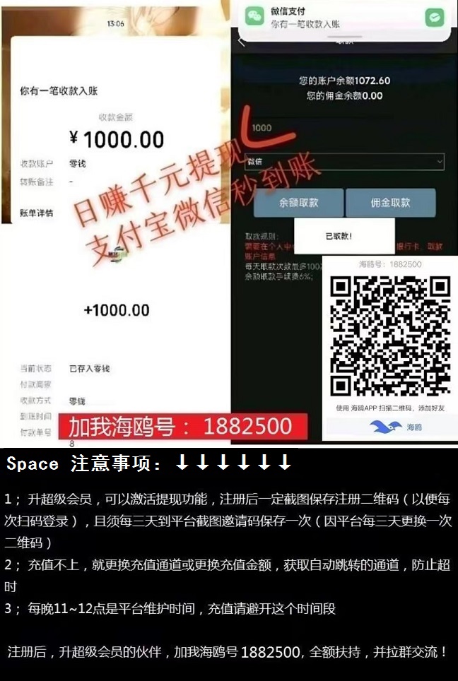 首码，《飞赚》真真好项目！正规稳定！日赚500+ ，提现秒到账！